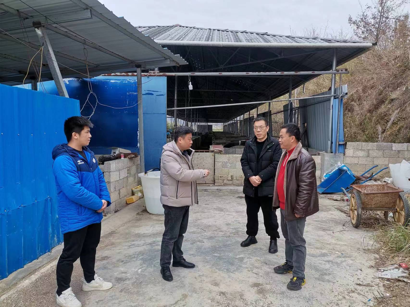 能礦錳業(yè)黨委副書記、代總經(jīng)理楊曲波一行到里懷村開展鄉(xiāng)村振興幫扶工作